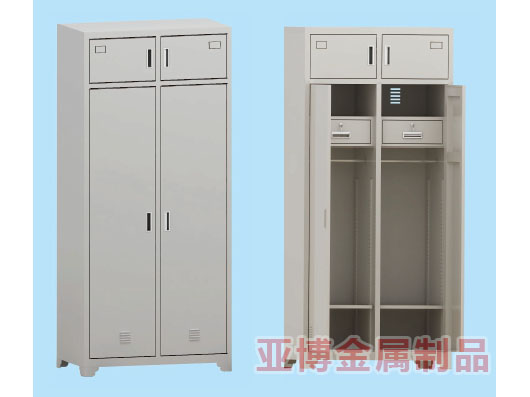 士兵两门物品柜（新钢塑制式营具）